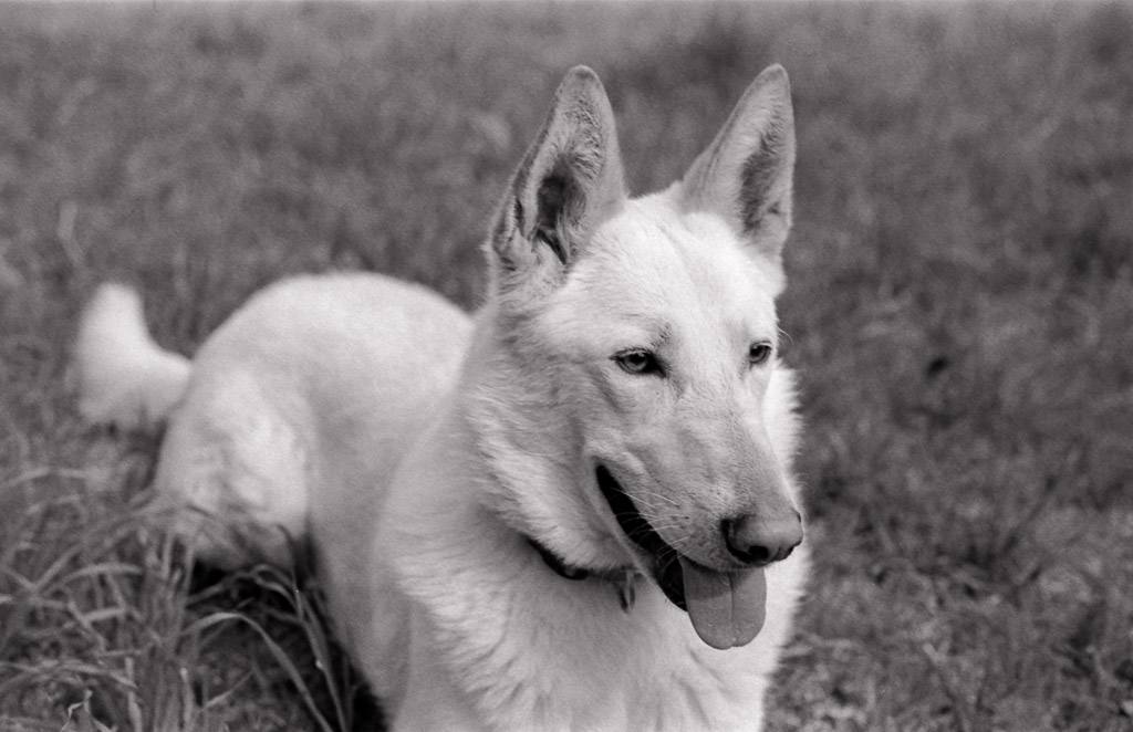 20180326_FE_Eiras_Neg08_1024x768